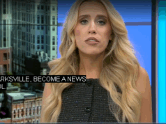 В Хендерсонвилле погиб мужчина в результате аварии с участием фуры на шоссе I-65 в Кентукки